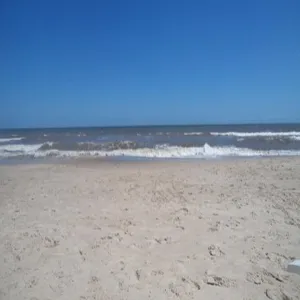 Foto de Cuchilla alta