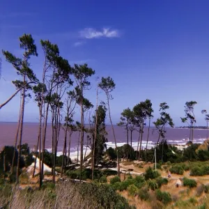 Foto de El Fortin de Santa Rosa