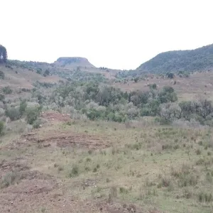 Foto de Gruta de los Helechos