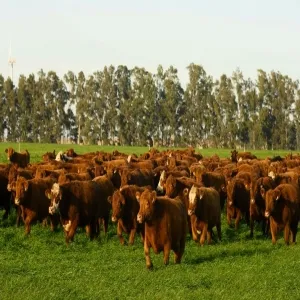 Foto de La Rábida - Estancia