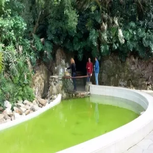 Foto de Parque de Salus