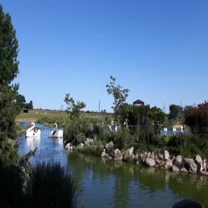 Foto de Parque natural de flora y fauna DrTalice