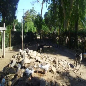 Foto de Zoologico de Atlantida